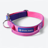 Taktisches Hundehalsband - und Leinen-Set - Rosa-Blau