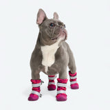 Hunde-Regenstiefel, Wasserdichte Hundeschuhe - Fuchsia Camo