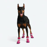 Hunde-Regenstiefel, Wasserdichte Hundeschuhe - Fuchsia Camo