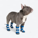 Flex Shell Wasserabweisende Hundestiefel - Blau Camo