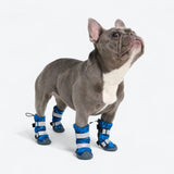 Wasserfeste Flex Shell-Hundestiefel
