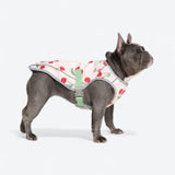 Cherries Cooling Vest