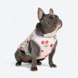 Hundekühlweste - Kirschen