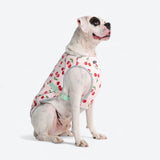 Cherries Cooling Vest