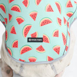 Watermelon Cooling Vest