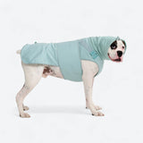 Angstberuhigender Anzug - Türkis