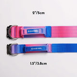 Taktisches Hundehalsband - und Leinen-Set - Rosa-Blau