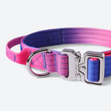 Taktisches Hundehalsband - und Leinen-Set - Rosa-Blau