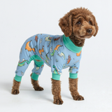 Dragons PJ||size:M