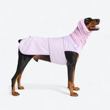 Angstberuhigender Anzug - Lila