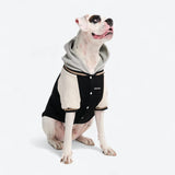 Hund-Collegejacke - Schwarz