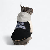 Hund-Collegejacke - Schwarz
