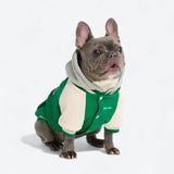 Hund-Collegejacke - Grün