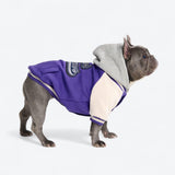 Purple Varsity Jacket