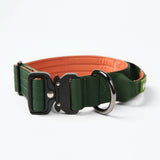 Komfort-Kontrollhalsband-Set - Grün Orange