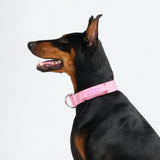 Komfort-Kontrollhalsband - Rosa