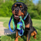 Leine und Kotbeutelhalter-Set - Limewelle