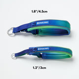 Martingale Halsband – Limettenwelle