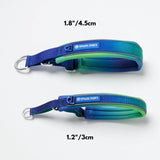 Gepolstertes Martingal-Halsband – Limettenwelle