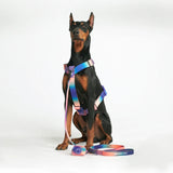 Kaleidoscope Neoprene Leash