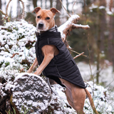 Black Warmshield Jacket||size:S,M,L,XL,2XL,3XL,4XL,5XL