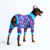 Hunde Pyjama - Planeten