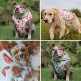 Cherries Watermelon||size:S,M,L,XL,2XL,3XL,4XL,5XL