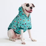 Hundehoodie (weicher Velours)