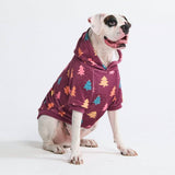 Hundehoodie (weicher Velours)