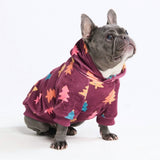 Hundehoodie (weicher Velours)