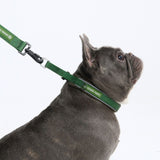 Green Martingale Collar||size:A,B