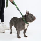Green Collar||size:A,B