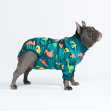 Dinosaurs Surgical Suit||size:L,XL