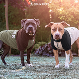 Black Cream Plush Fleece Dog Sweater||size:S,M,L,XL,2XL,3XL,4XL