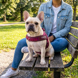 Fuchsia Camo Grab and Go||size:1,2,3,4,5,6