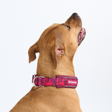 Fuchsia Camo Collar||size:C,D,E