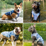 Ice Blue Cooling Vest||size:S,M,L,XL,2XL,3XL,4XL