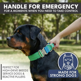 Taktisches Halsband für große Hunde - Limewelle