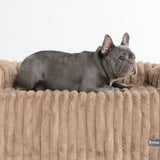 Brown Lux Couch Bed