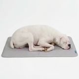 Waffle Grey||size:XL