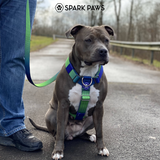 Lime Wave Harness||size:S,M,L