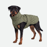Green Quilted Winter Jacket||size:4XL