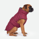 Red Quilted Winter Jacket||size:3XL