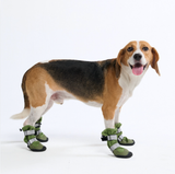 Hunde-Regenstiefel, Wasserdichte Hundeschuhe - Grün