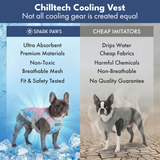 Snow Cone Tropical Storm||size:S,M,L,XL,2XL,3XL,4XL,5XL