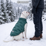 Green Thermosonic Winter Jacket||size:S,M,L,XL,2XL,3XL,4XL