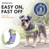 Violet Lime Grab and Go||size:1,2,3,4,5,6