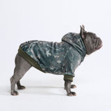 Hunde-Hoodie aus Betonholz – Holz