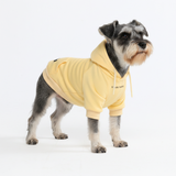 Essential Buttercream Hoodie||size:M