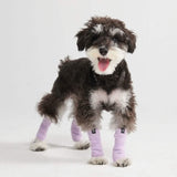 Dehnbare Fleece-Beinwärmer für Hunde - Flieder